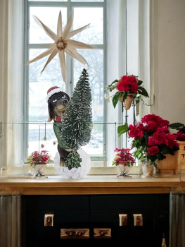 Dackel mit Weihnachtsbaum & LED Licht